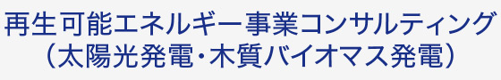 再生可能エネルギー事業コンサルティング（太陽光発電・木質バイオマス発電）