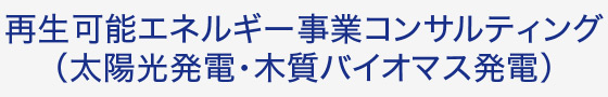 再生可能エネルギー事業コンサルティング（太陽光発電・木質バイオマス発電）